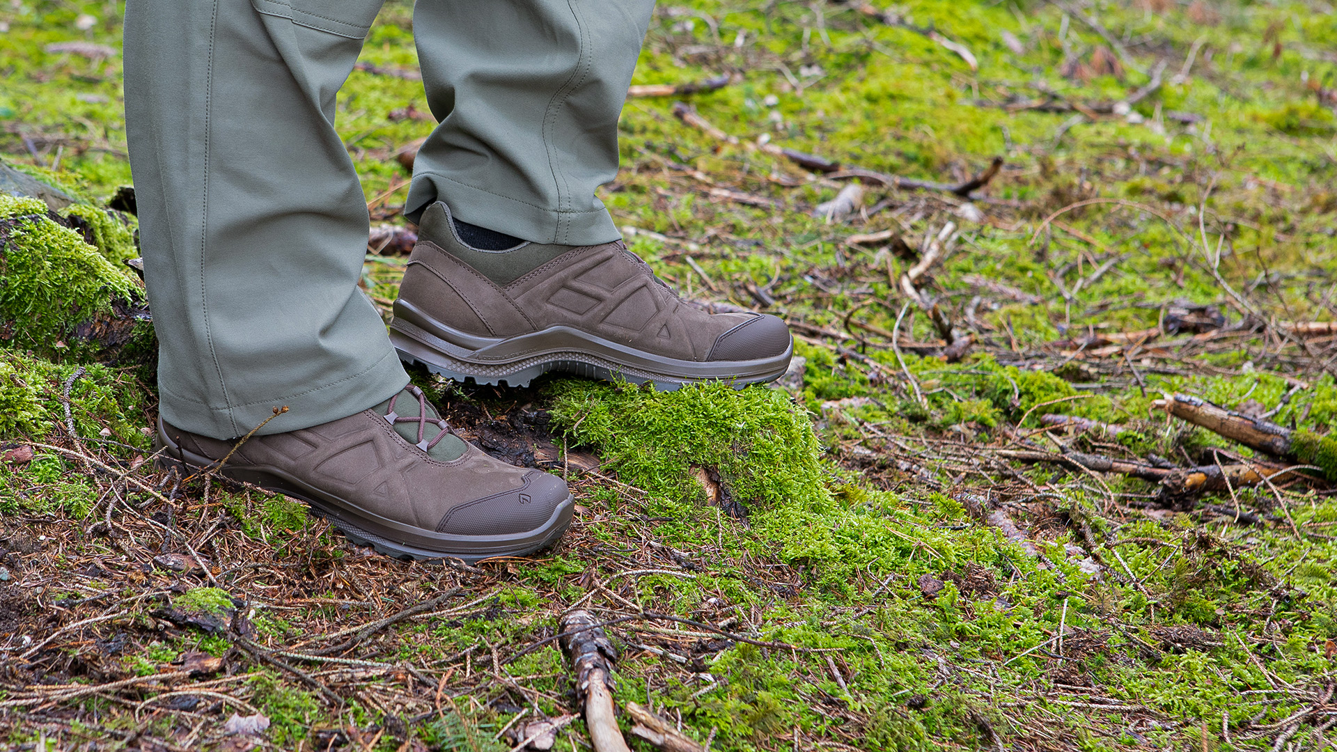 340017_black-eagle-nature-low