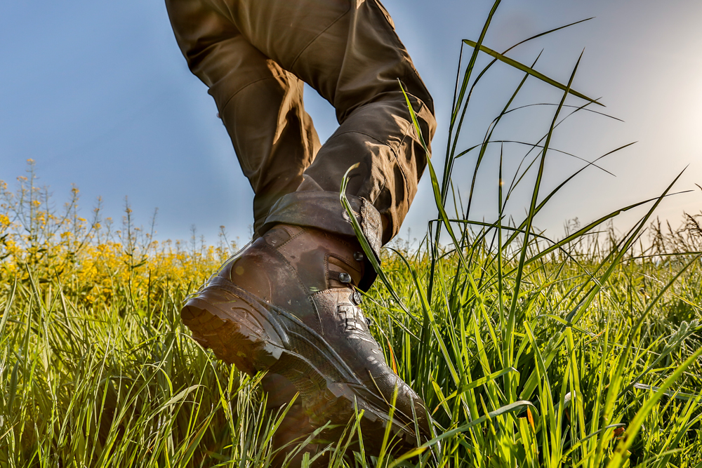 HX-Ungarn1804_HMe-9650